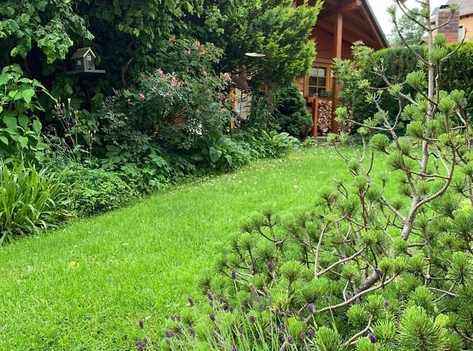 Domek alpejski Beerenhuette Oberwiesenthal